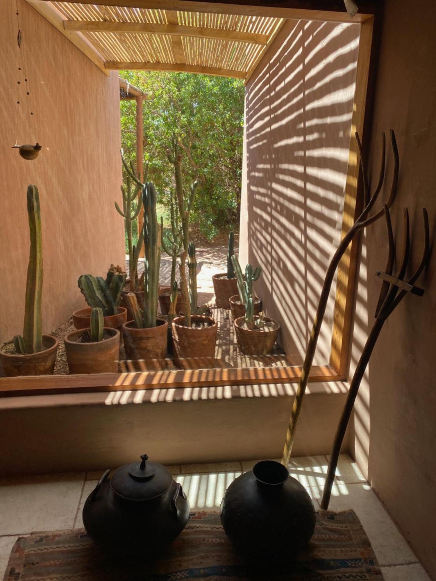 Casa Luna